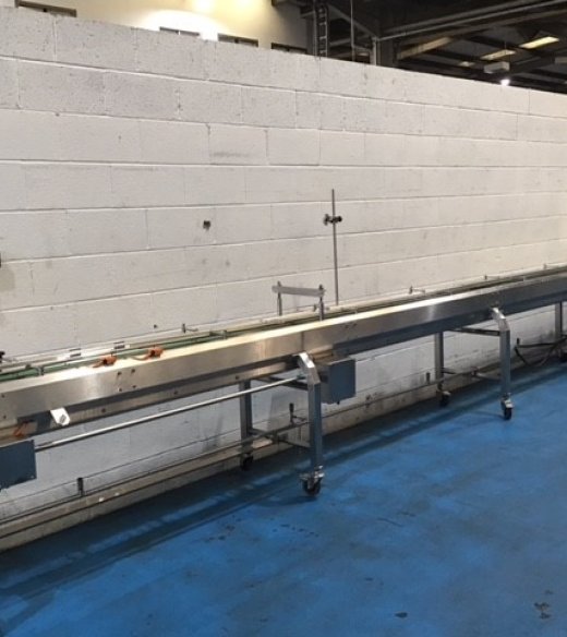 Apple 6 Metre Index Single Lane Conveyor