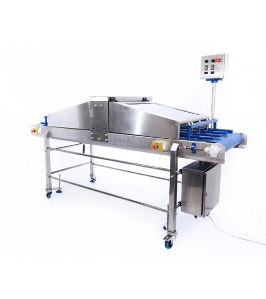 Reach Food Systems Conveyor Cake Slicer